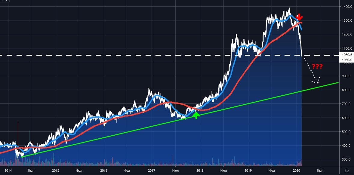 NVTK, Daily